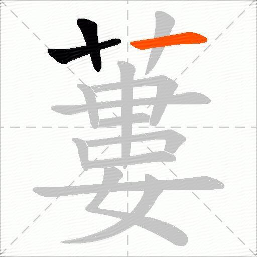 蔞
