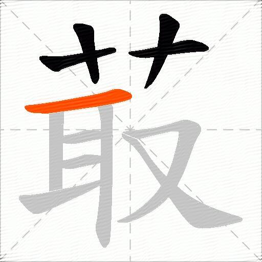 菆
