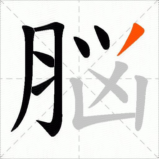脳