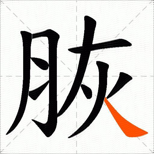 脄