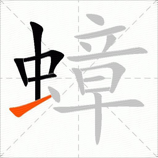 蟑