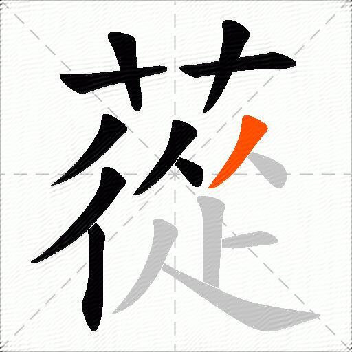蓯