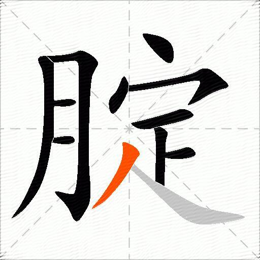 腚