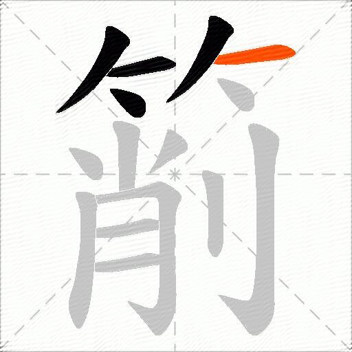 箾