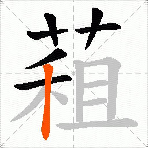 蒩