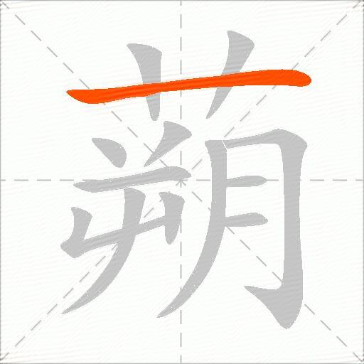 蒴