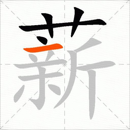 薪