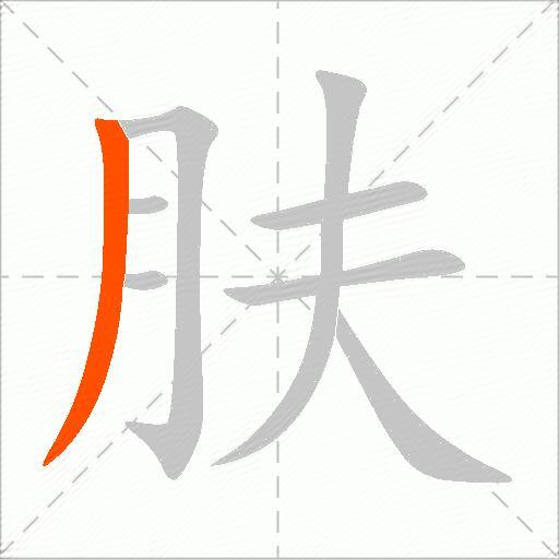肤