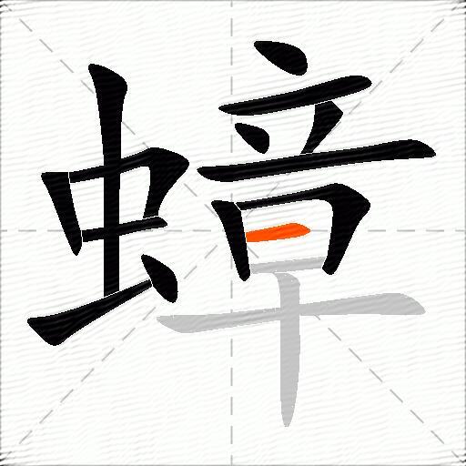 蟑