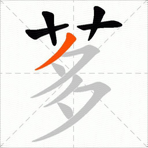 茤