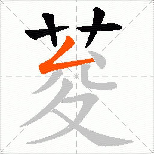 荾