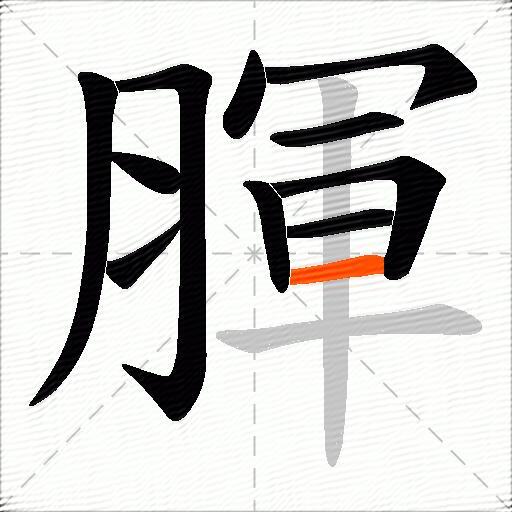 腪