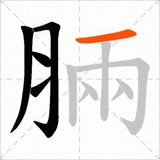 脼