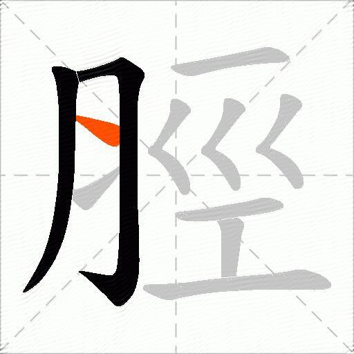 脛