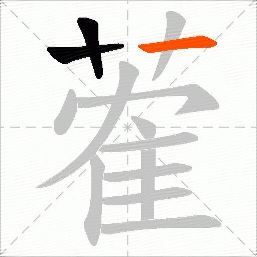 蒮