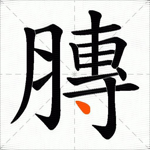 膞