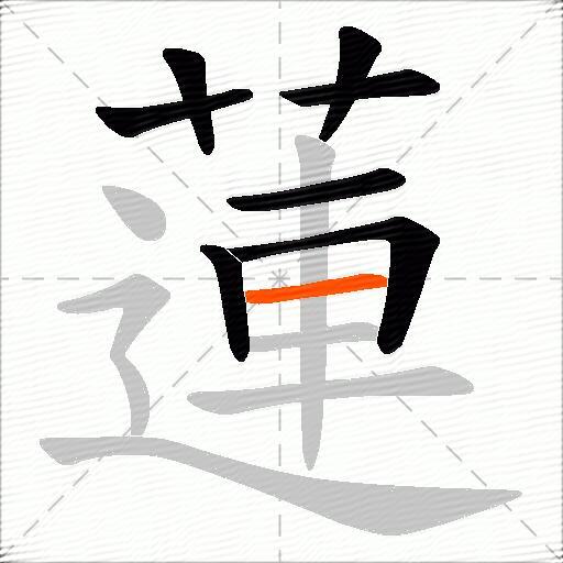 蓮
