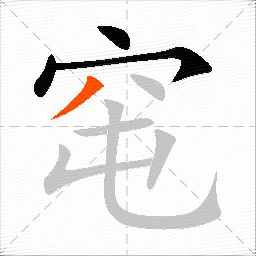 窀