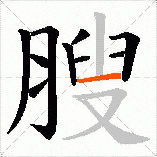 膄