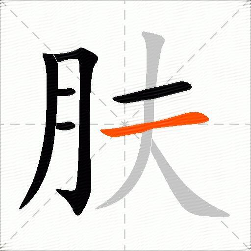 肤