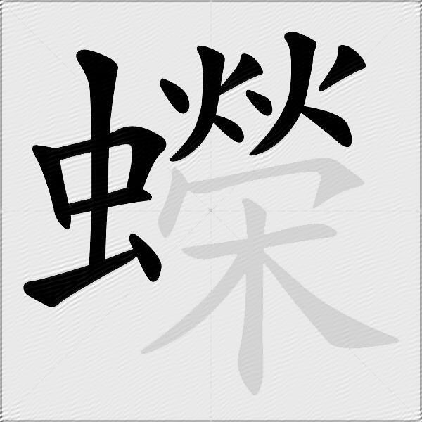 蠑