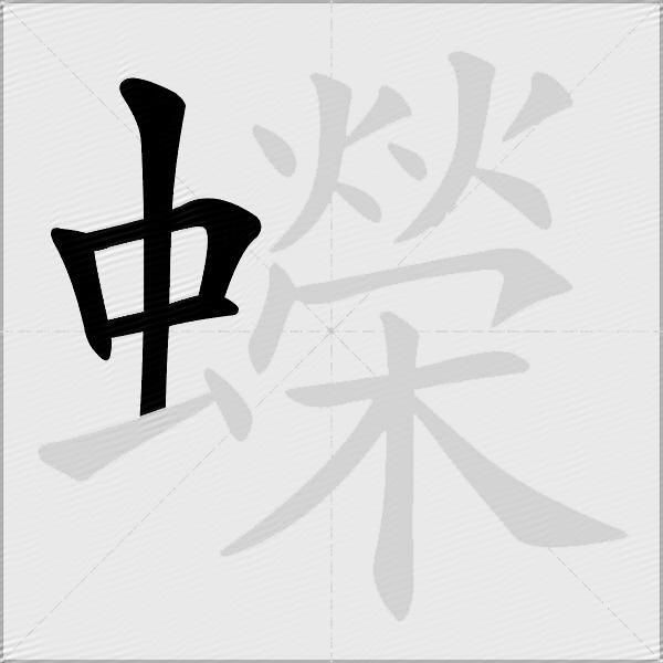 蠑