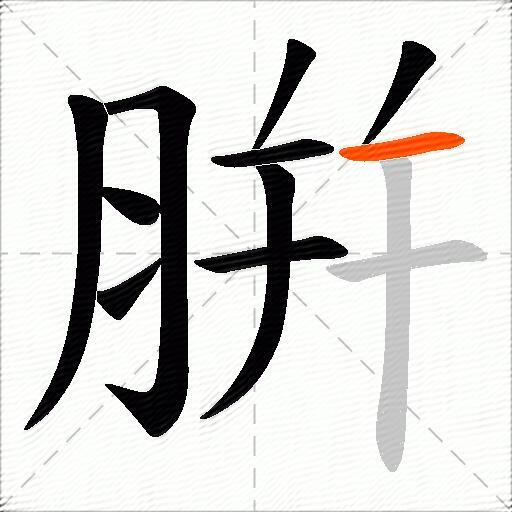 腁