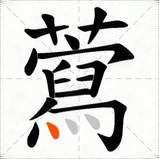 藛