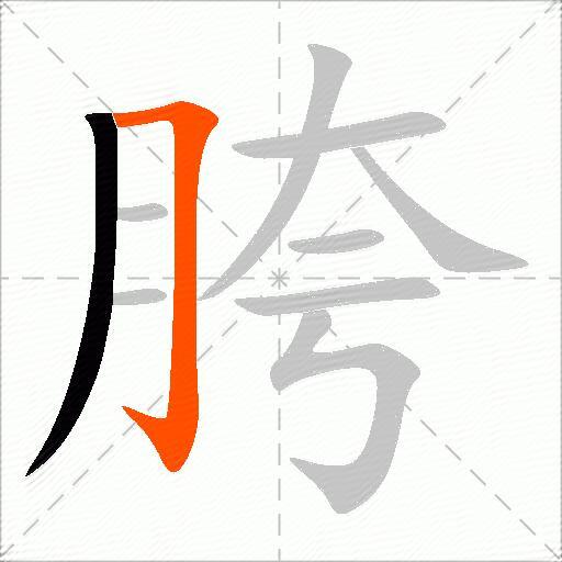 胯