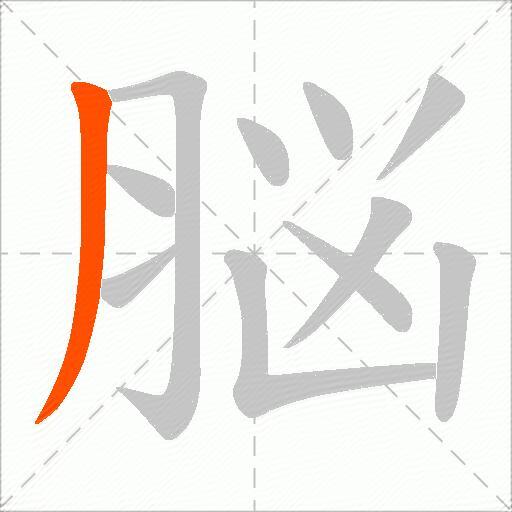 脳
