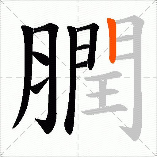 膶
