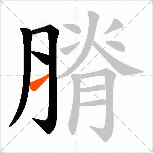 膌