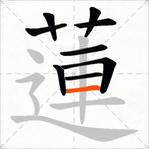 蓮