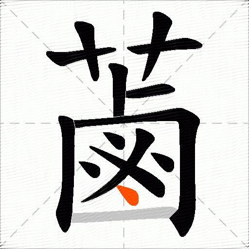 蓾