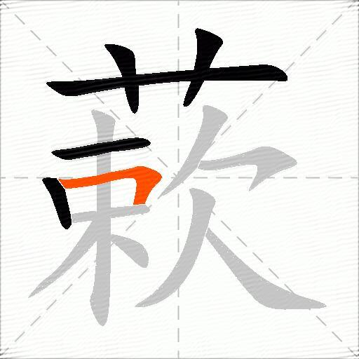 蔌
