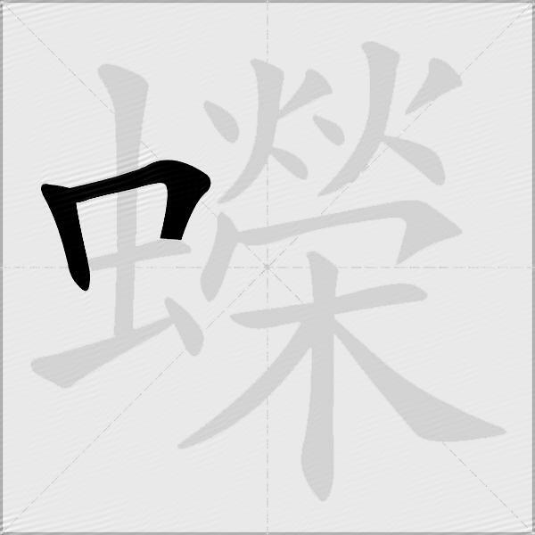 蠑
