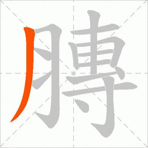 膞