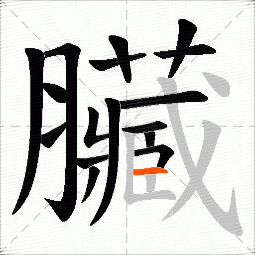 臟