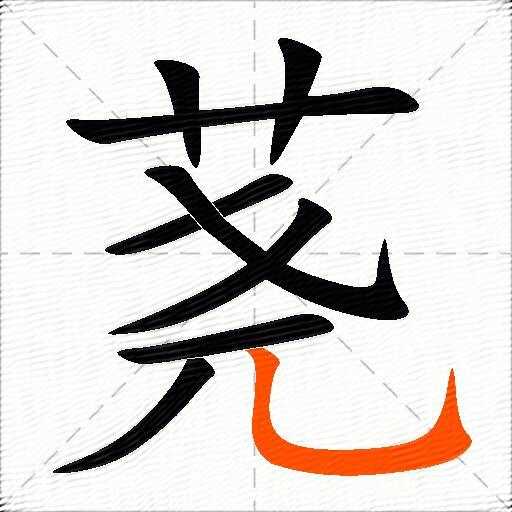 荛