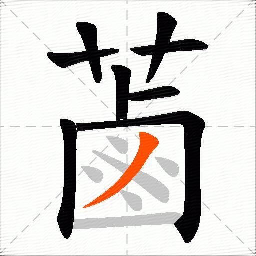 蓾