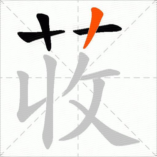 荍