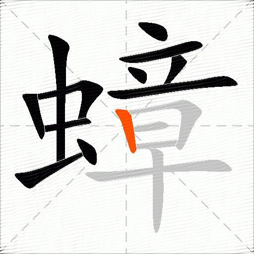 蟑