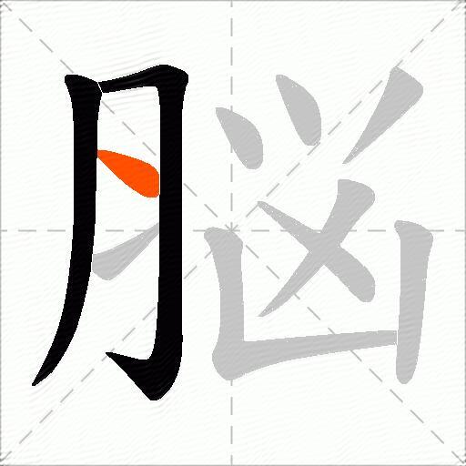 脳