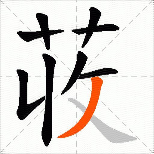 荍