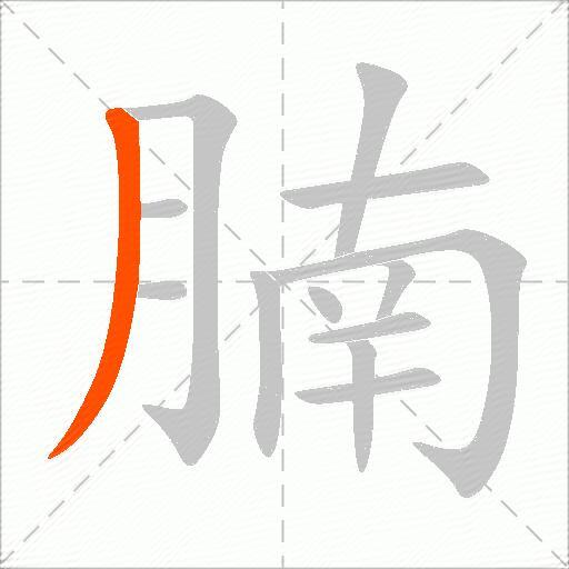腩