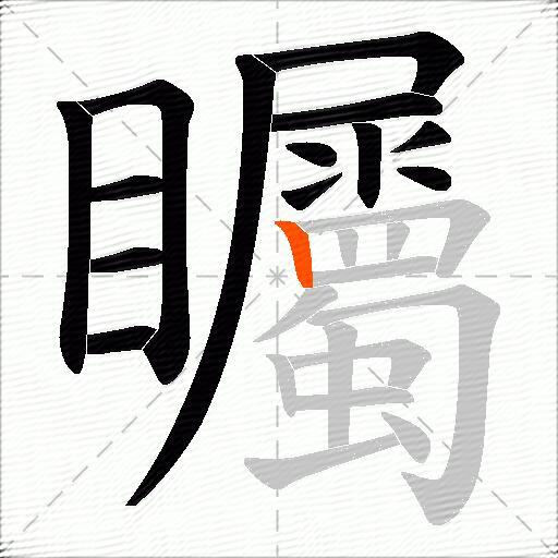 矚