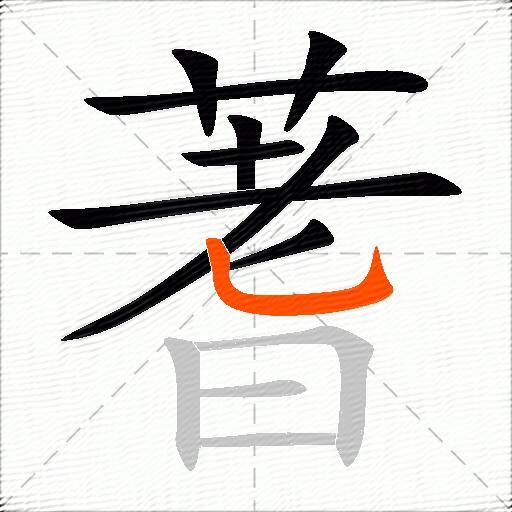 蓍