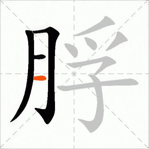 脬