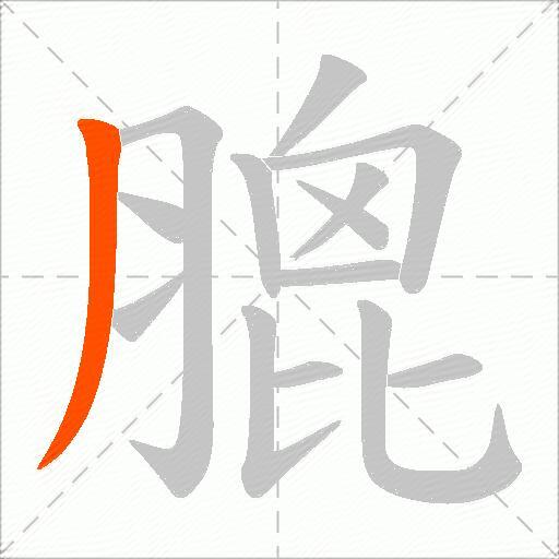 膍