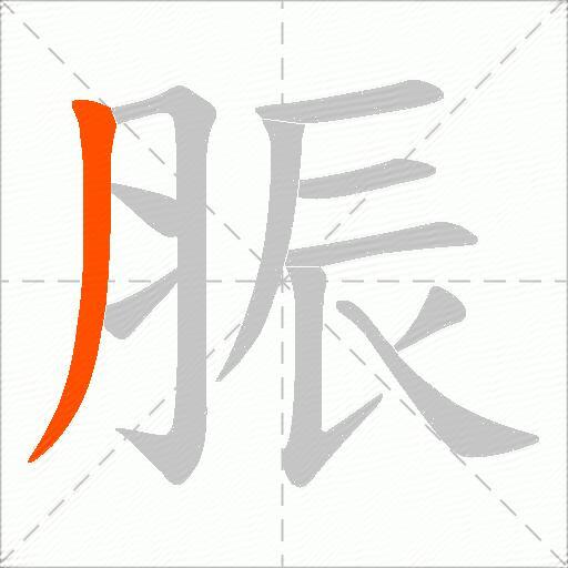 脤